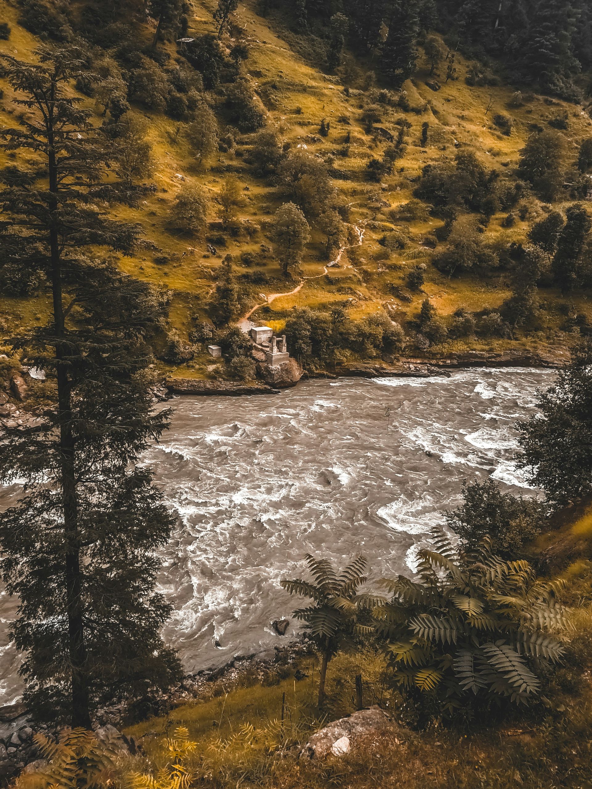 abdullah-tariq-4B61rSnCLj0-unsplash